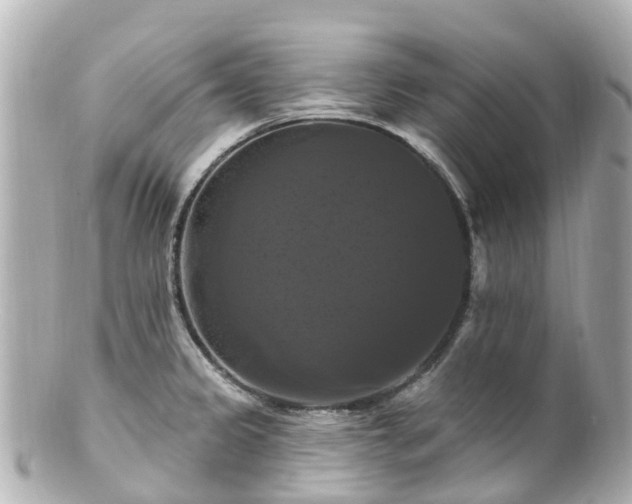 X0000100921333200807011258