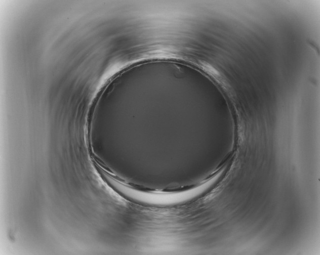 X0000100921334200807011258