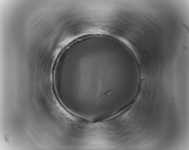 X0000100921335200807011258