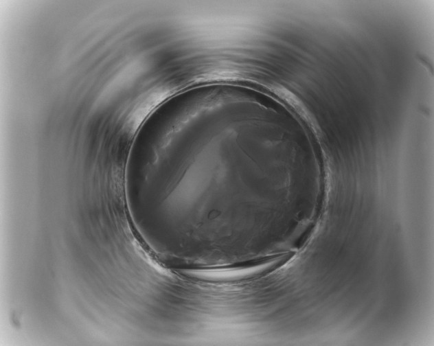 X0000100921337200807011258