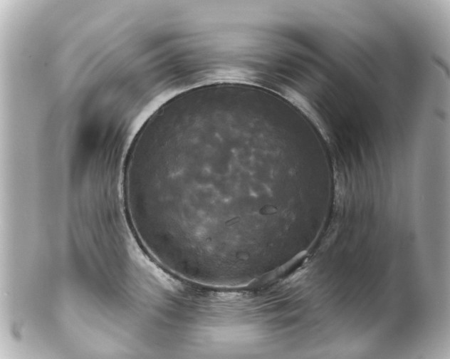 X0000100921339200807011258