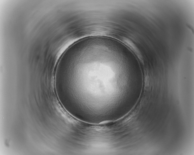 X0000100921340200807011258