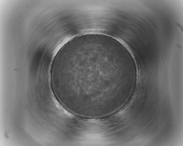 X0000100921341200807011258