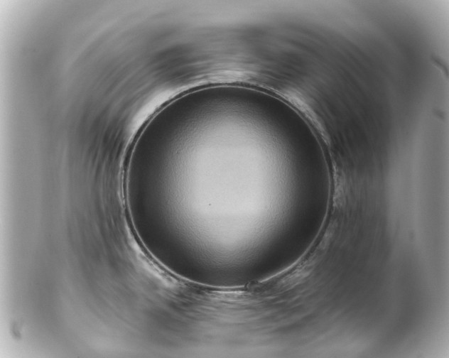 X0000100921342200807011258