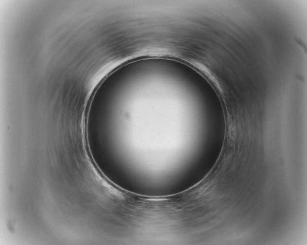 X0000100921343200807011258