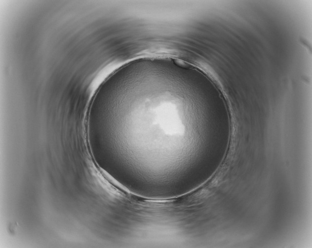 X0000100921344200807011258