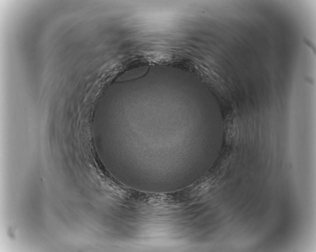 X0000100921345200807011257