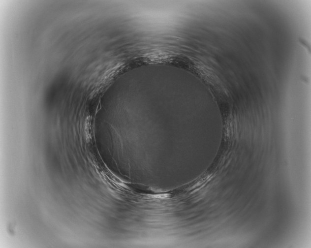 X0000100921346200807011257