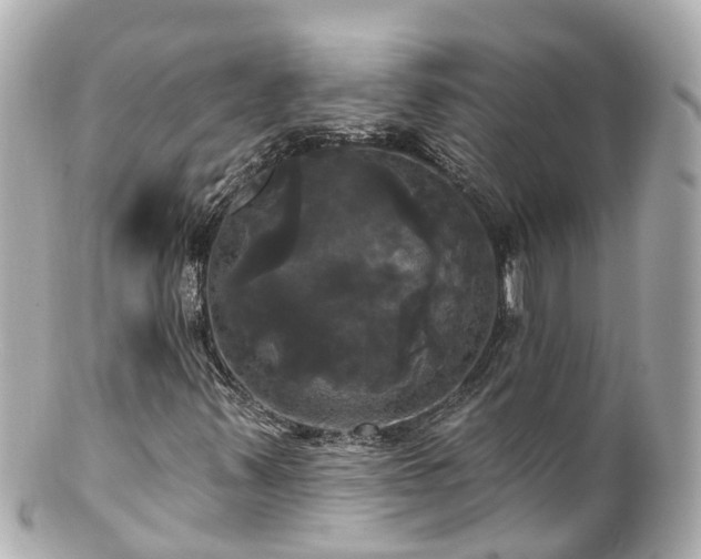 X0000100921347200807011257