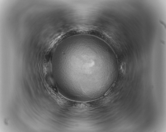 X0000100921348200807011257