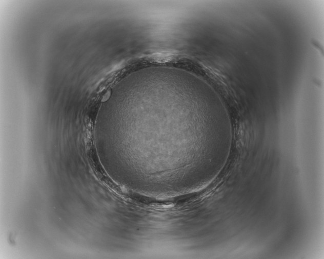 X0000100921349200807011257