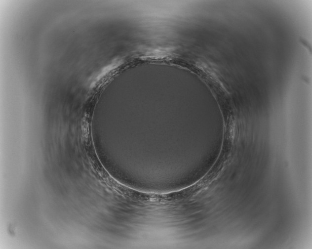 X0000100921350200807011257