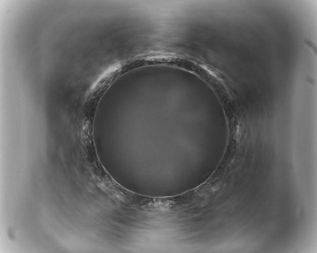 X0000100921351200807011257