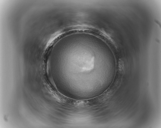 X0000100921352200807011257