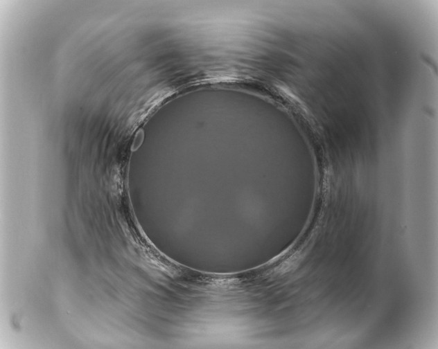 X0000100921353200807011257