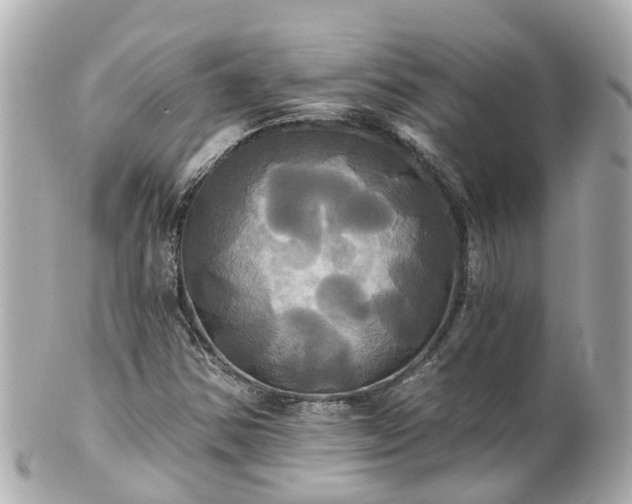 X0000100921354200807011257