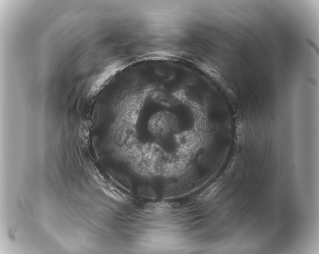 X0000100921355200807011257