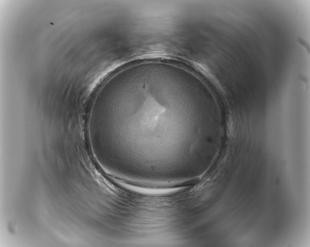 X0000100921356200807011257