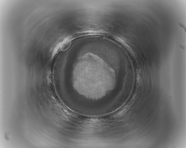 X0000100921357200807011257