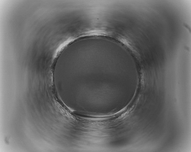 X0000100921358200807011257