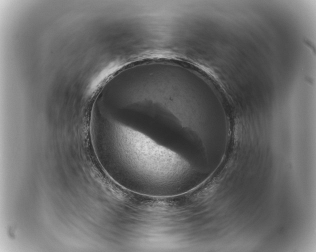 X0000100921359200807011257