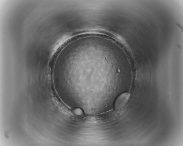 X0000100921360200807011257