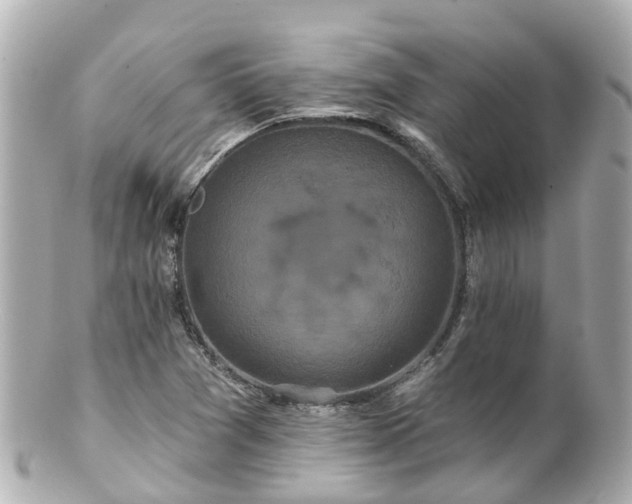 X0000100921361200807011257