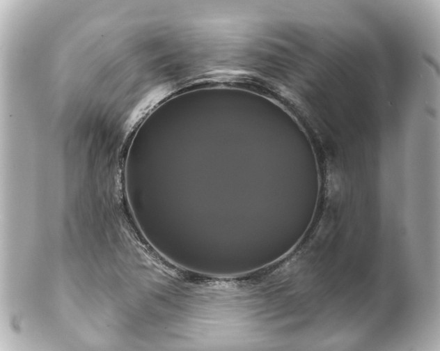 X0000100921362200807011257