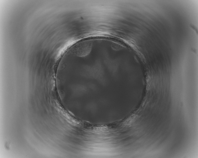 X0000100921363200807011257