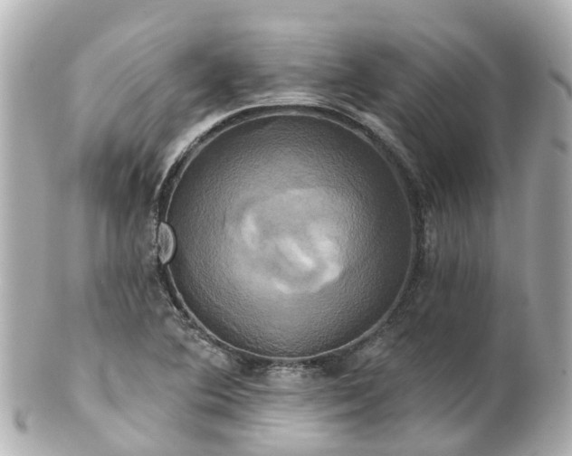 X0000100921364200807011257