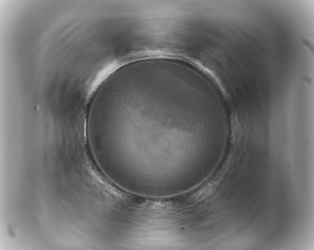 X0000100921365200807011257