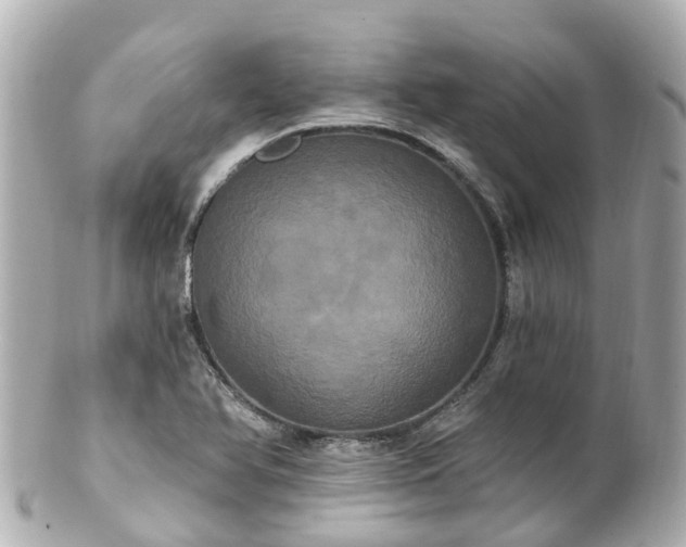 X0000100921366200807011257