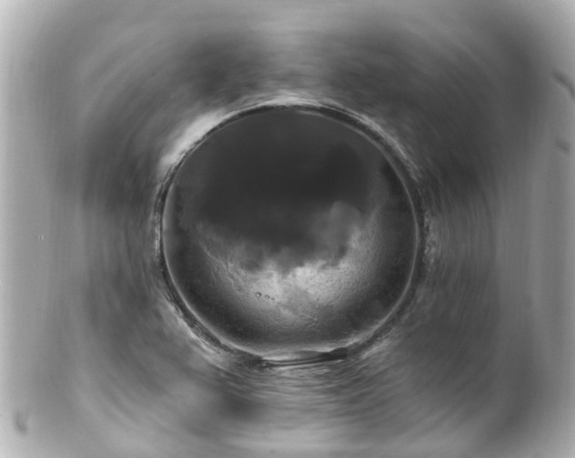 X0000100921367200807011257