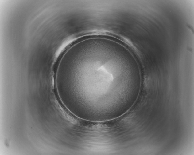 X0000100921368200807011257