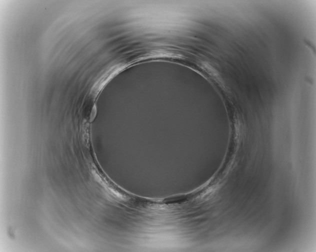 X0000100921369200807011257