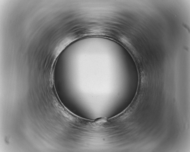 X0000100921370200807011257