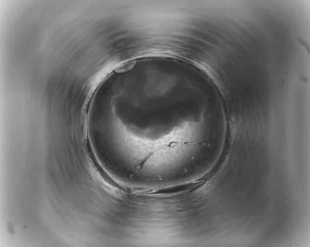 X0000100921371200807011257