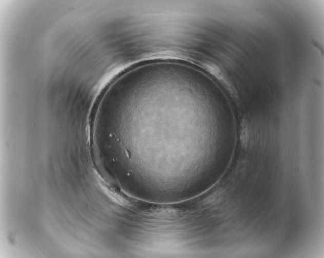 X0000100921372200807011257