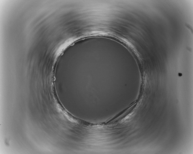 X0000100921373200807011257