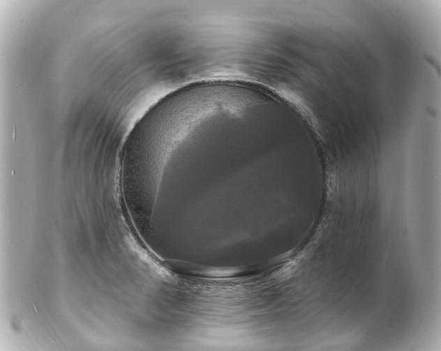 X0000100921374200807011257