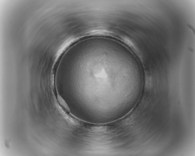 X0000100921376200807011256