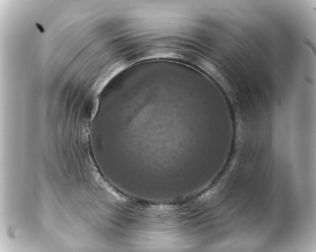 X0000100921377200807011256