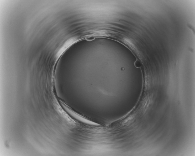 X0000100921378200807011256