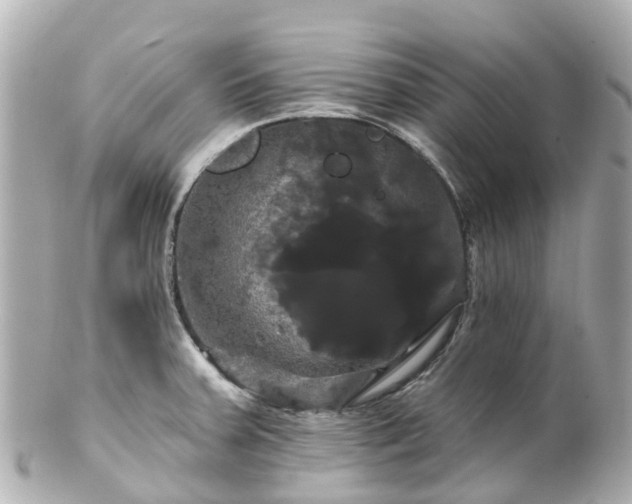 X0000100921379200807011256