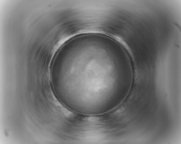 X0000100921380200807011256