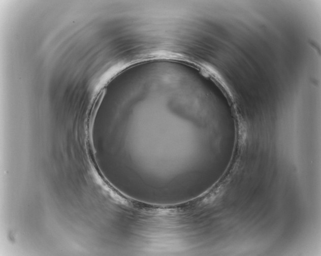 X0000100921381200807011256