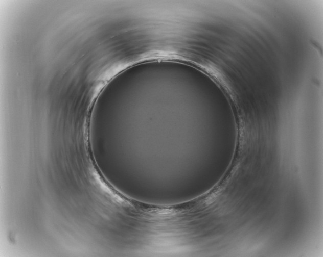 X0000100921382200807011256