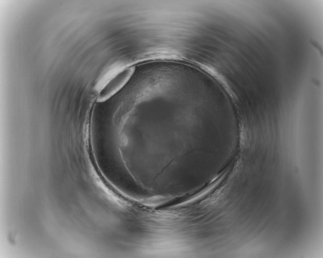 X0000100921383200807011256