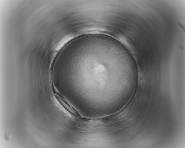 X0000100921384200807011256