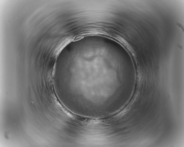 X0000100921385200807011256